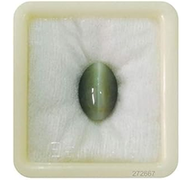 Nugwale Cats Eye - 5 Carat Lehsunia Stone
