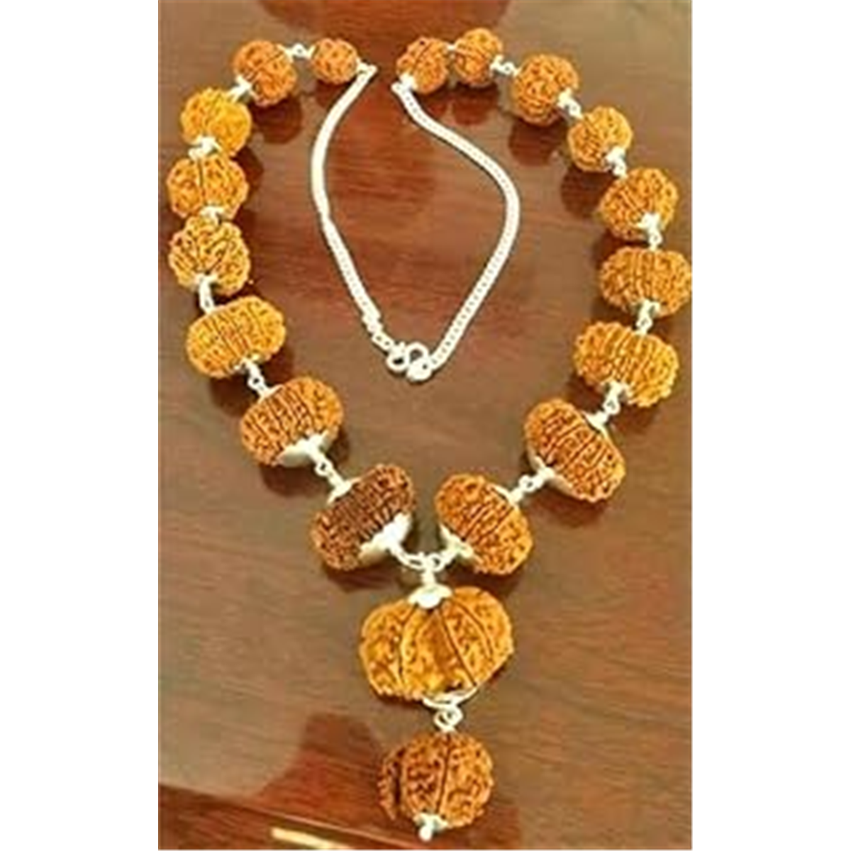 Nugwale - Real Genuine Nepal Sarva Sidha Rudraksha Mala
