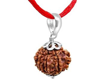 7 Mukhi Rudraksh