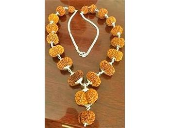 Siddha Mala Rudraksh